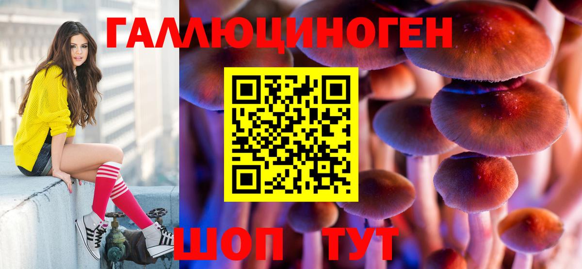 Дзержинск  Псилоцибиновые грибы Psilocybe  дарнет шоп  Вход с VPN 